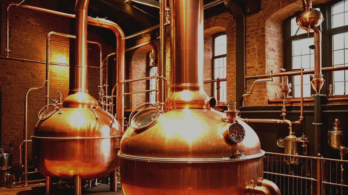 Reportage distillerie — alambic à colonne en cuivre